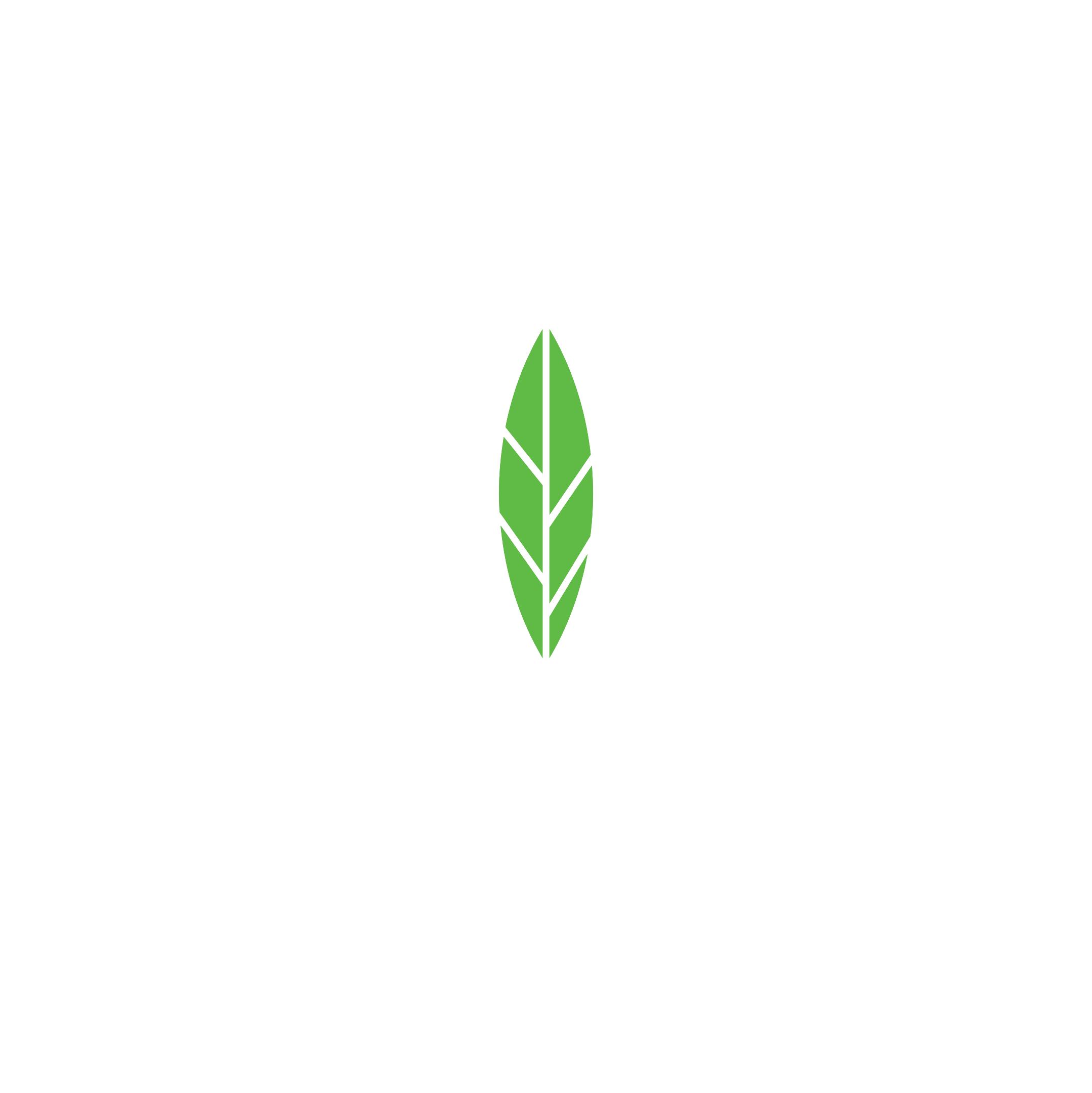Alsaltna Company